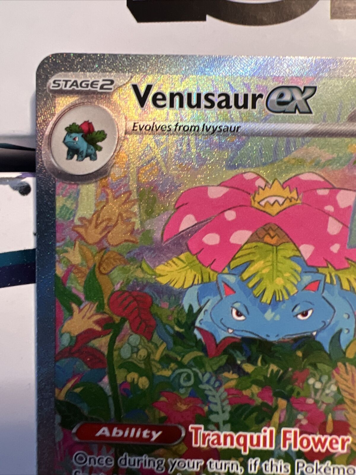 Venusaur 198/165 Special Illustration Rare Scarlet & Violet Pokemon 151 NM