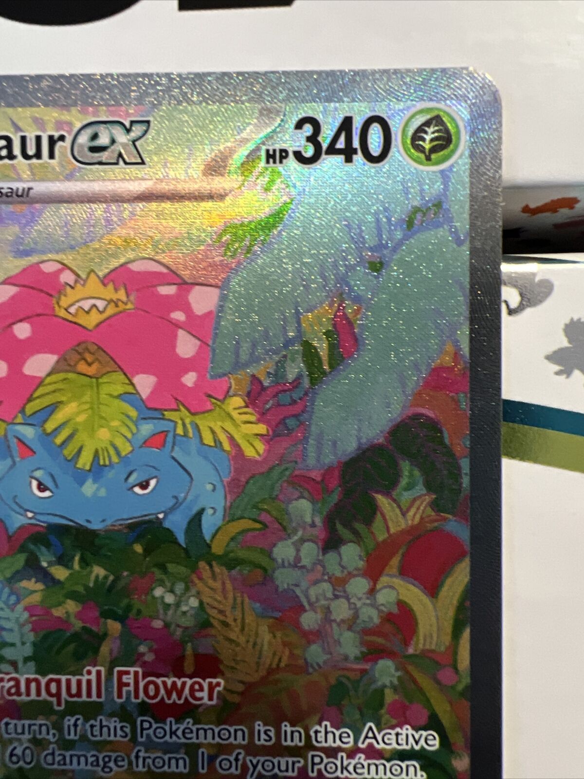 Venusaur 198/165 Special Illustration Rare Scarlet & Violet Pokemon 151 NM