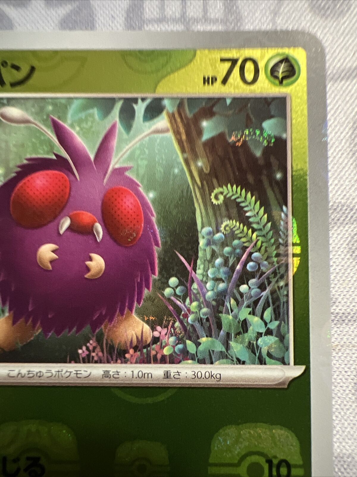 Venonat Master Ball Foil 048/165 - SV2a Pokémon 151 Japanese NM - US SELLER